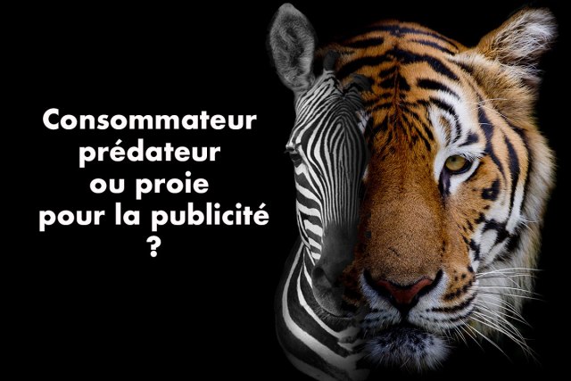 Blog-HD-mythe-marketing