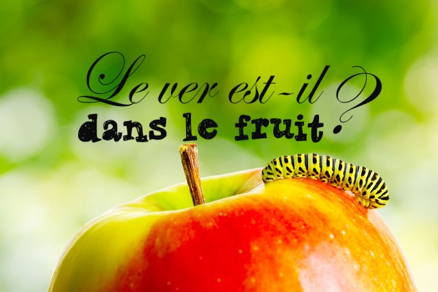 Blog-HD-ver-dans-la-pomme