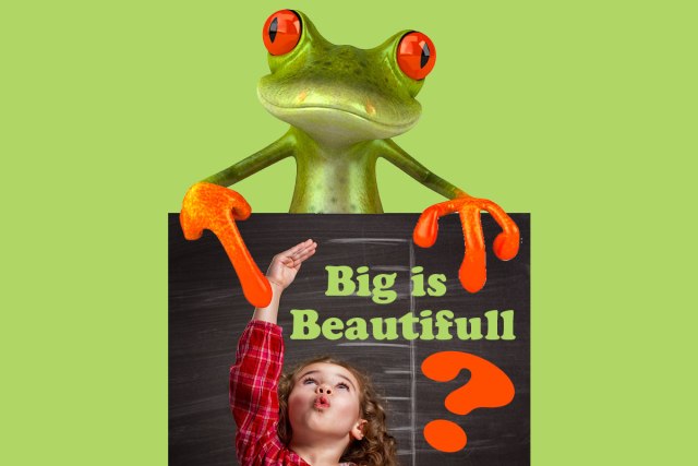 Blog-HD-tailorisreach2